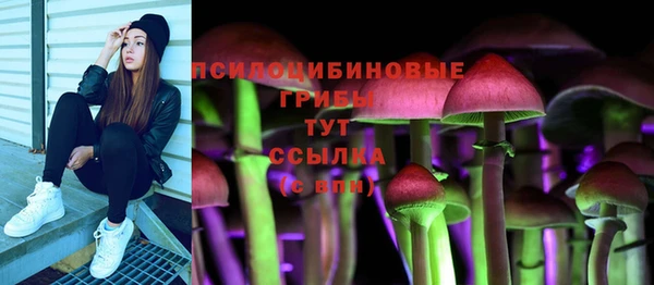 эйфоретик Лабытнанги