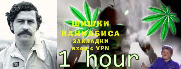 эйфоретик Лабытнанги