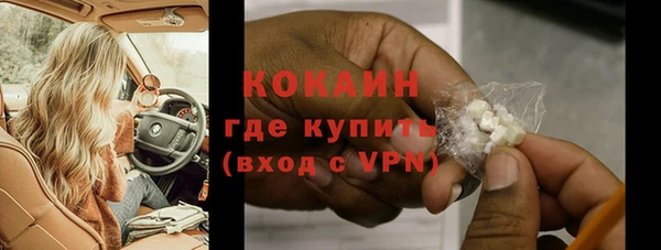 прущие грибы Лихославль