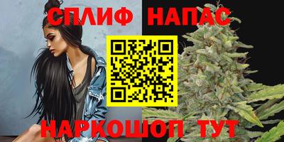 мяу мяу мука Гатчина