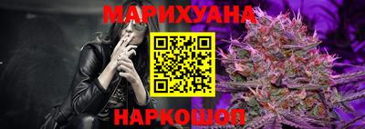 мяу мяу мука Гатчина