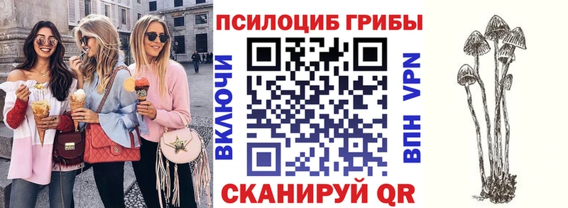 kraken как зайти Куйбышев Галлюциногенные грибы Magic Shrooms дарнет шоп